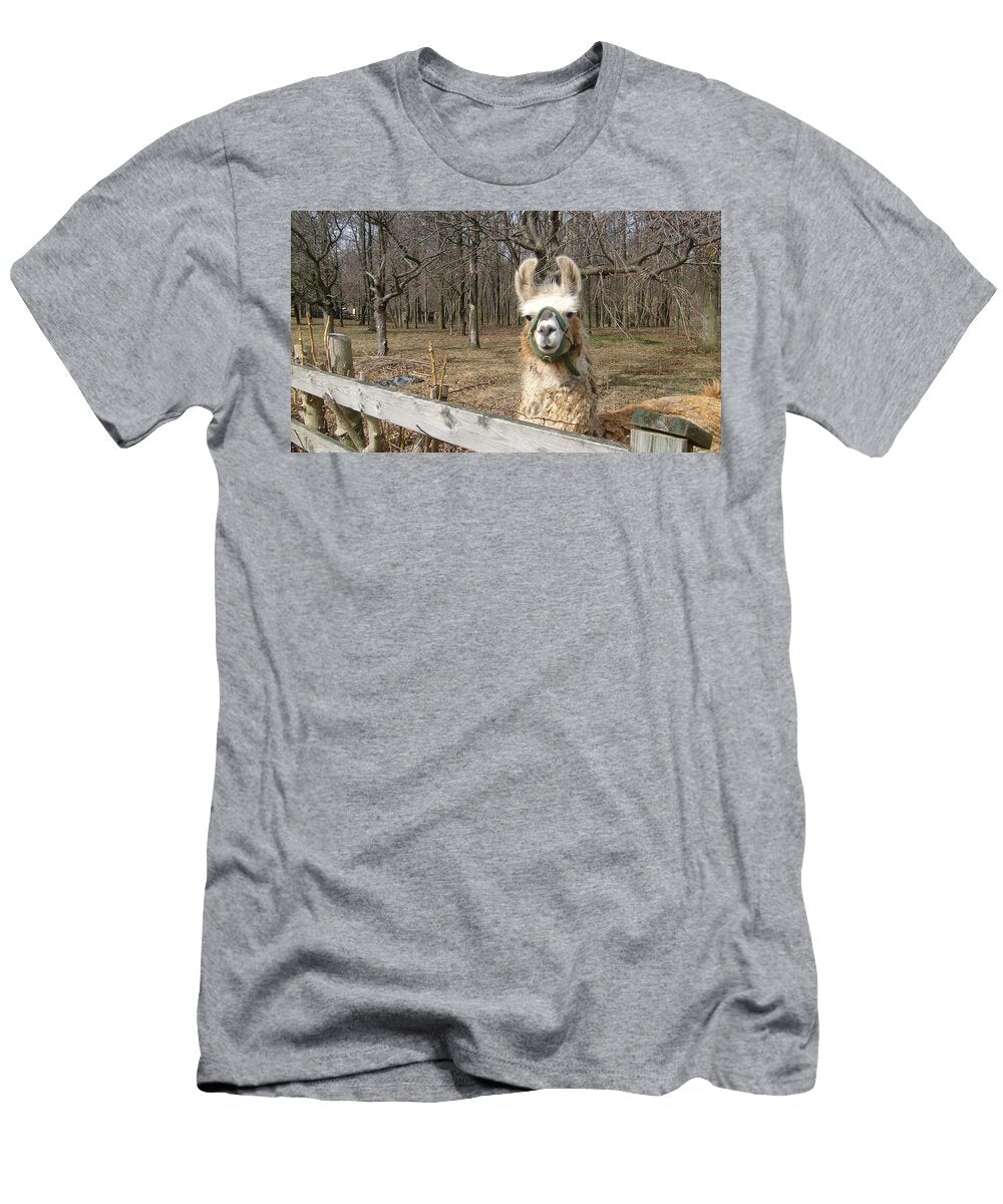 Look Les Classics T-Shirt