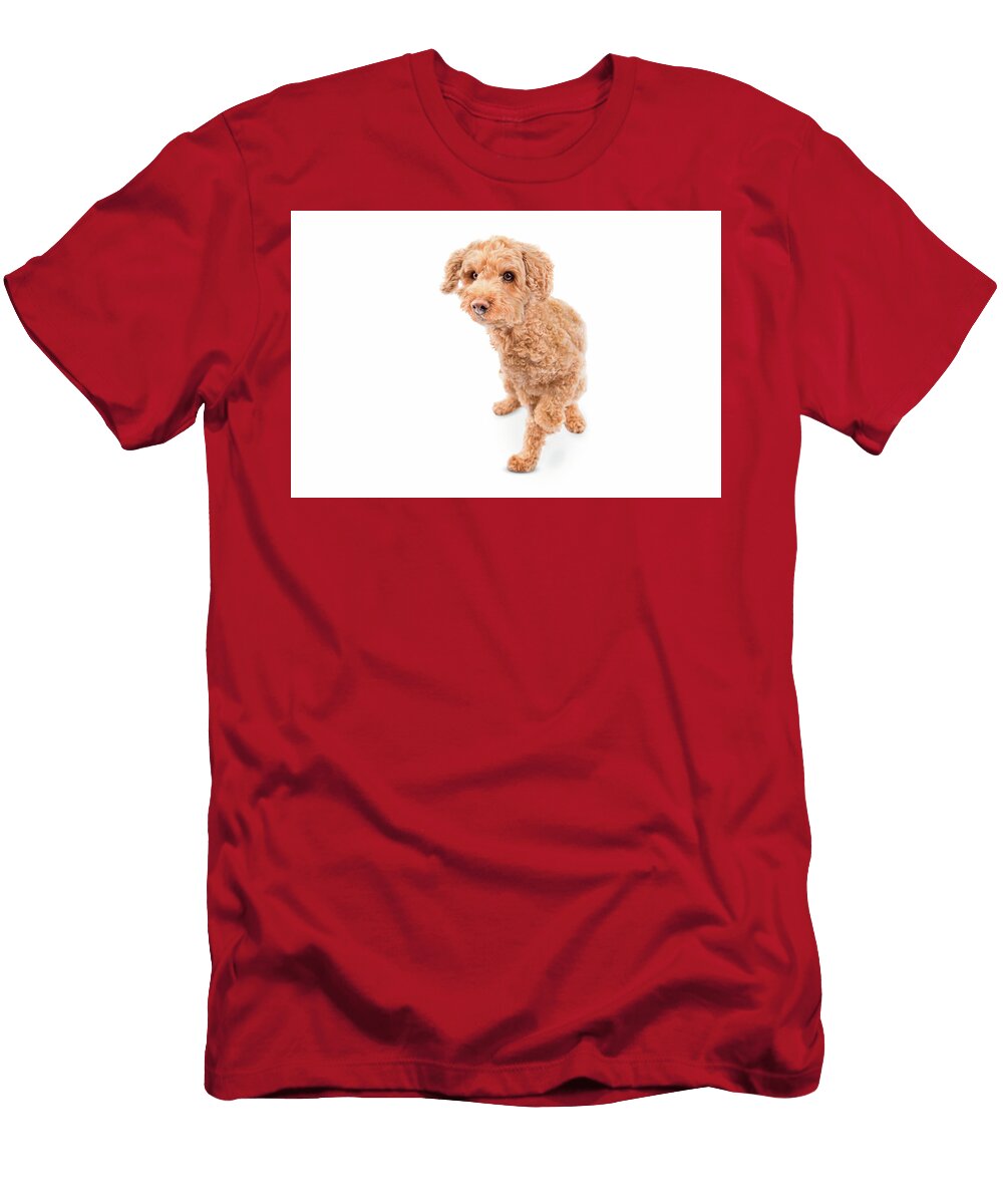 Lucie C Paw Paul Sears Resilient Rover T-Shirt