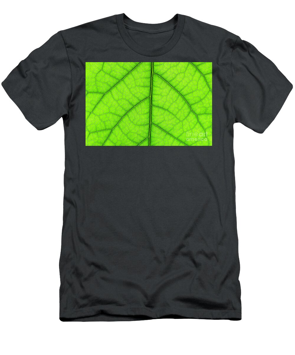 Macro Closeup of a Avocado Leaf Michael Oneill T-Shirt
