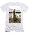Majestic Alpaca in Sunlit Field Jeramy Hinfelaar T-Shirt