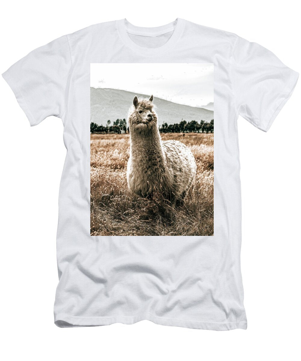 Majestic Alpaca in Sunlit Field Jeramy Hinfelaar T-Shirt