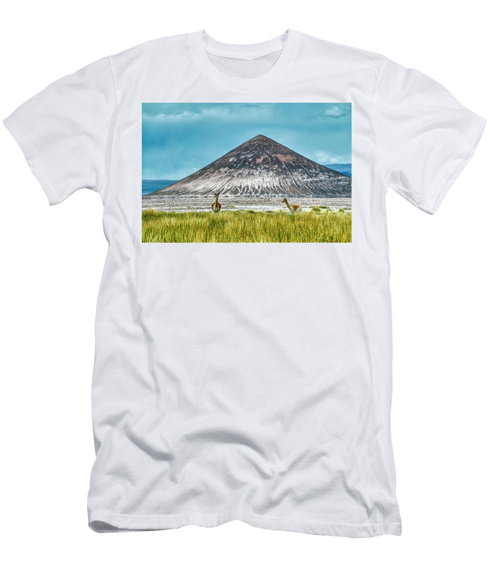 Majestic Mountain and Alpacas Gerald Ligonnet T-Shirt