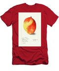 Mango Mangifera Indica 1910 By Deborah Griscom Passmore Deborah Griscom Passmore T-Shirt