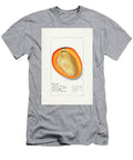 Mango Mangifera Indica 1910 By1 Pierre Joseph Redoute T-Shirt