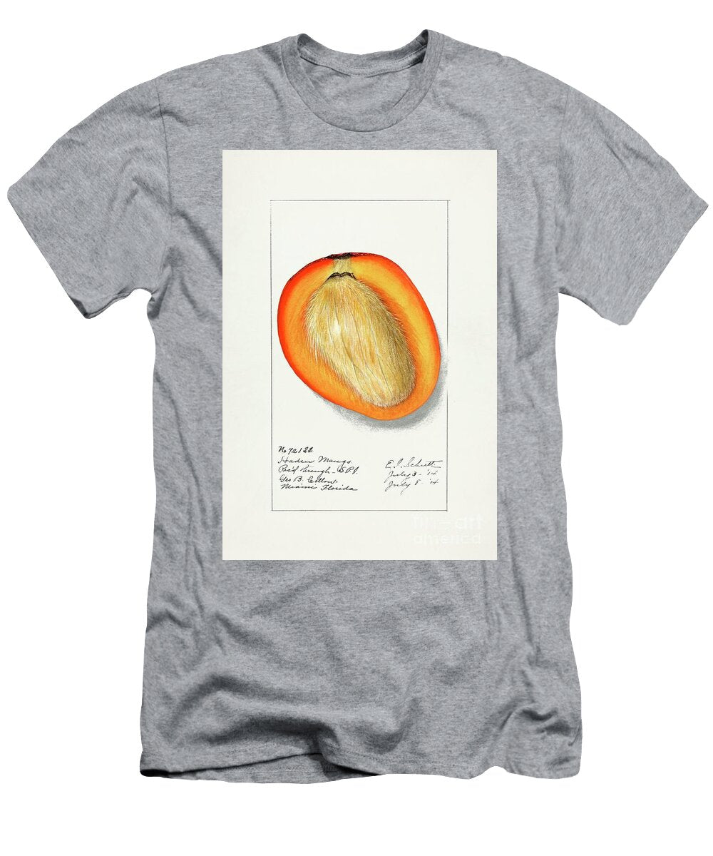 Mango Mangifera Indica 1910 By1 Pierre Joseph Redoute T-Shirt