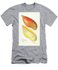 Mangoes Mangifera Indica 1909 By Amanda Almira Newton Amanda Almira Newton T-Shirt
