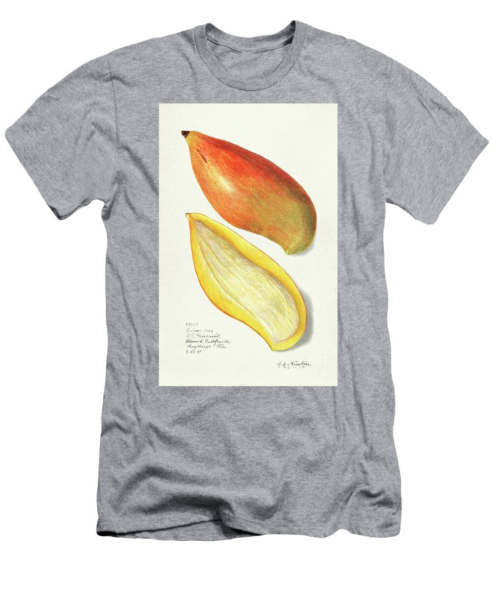 Mangoes Mangifera Indica 1909 By Amanda Almira Newton Amanda Almira Newton T-Shirt
