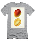 Mangoes Mangifera Indica 1923 By Royal Charles Steadman Royal Charles Steadman T-Shirt
