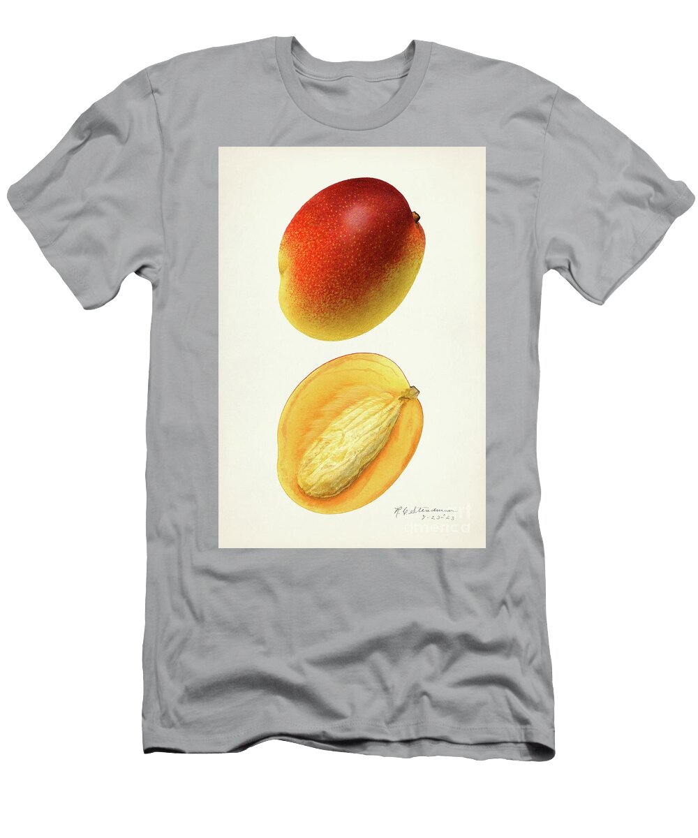 Mangoes Mangifera Indica 1923 By Royal Charles Steadman Royal Charles Steadman T-Shirt