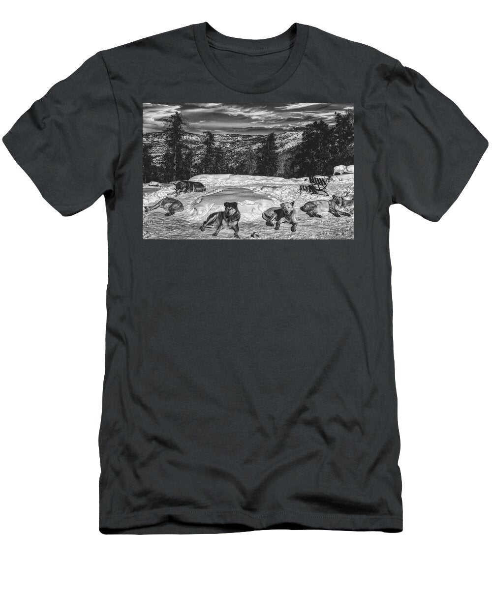 Many Miles We Have Covered Mountain Dreams T-Shirt