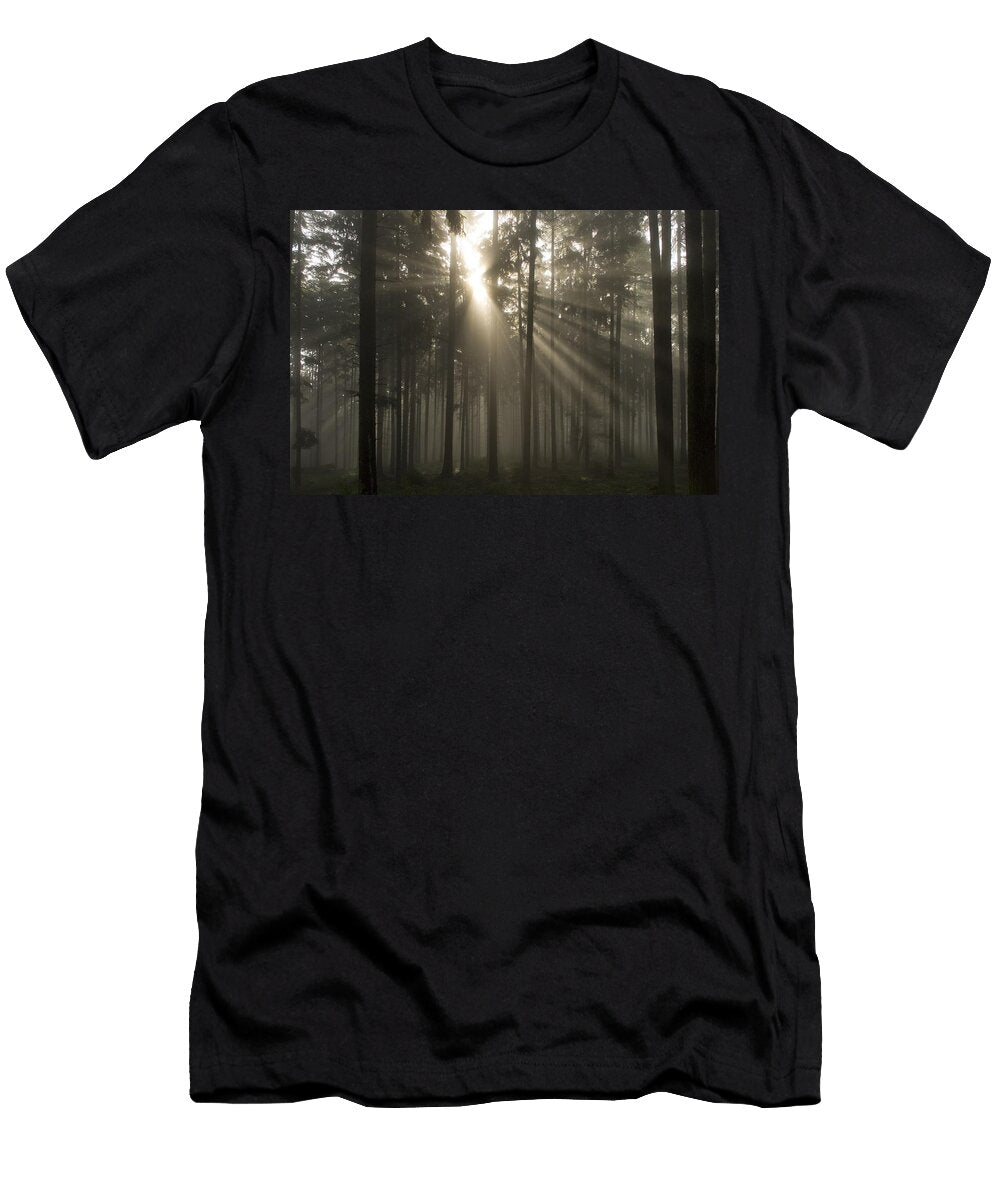 Misty Pine Forest with Sun Ray Axiom Photographic T-Shirt