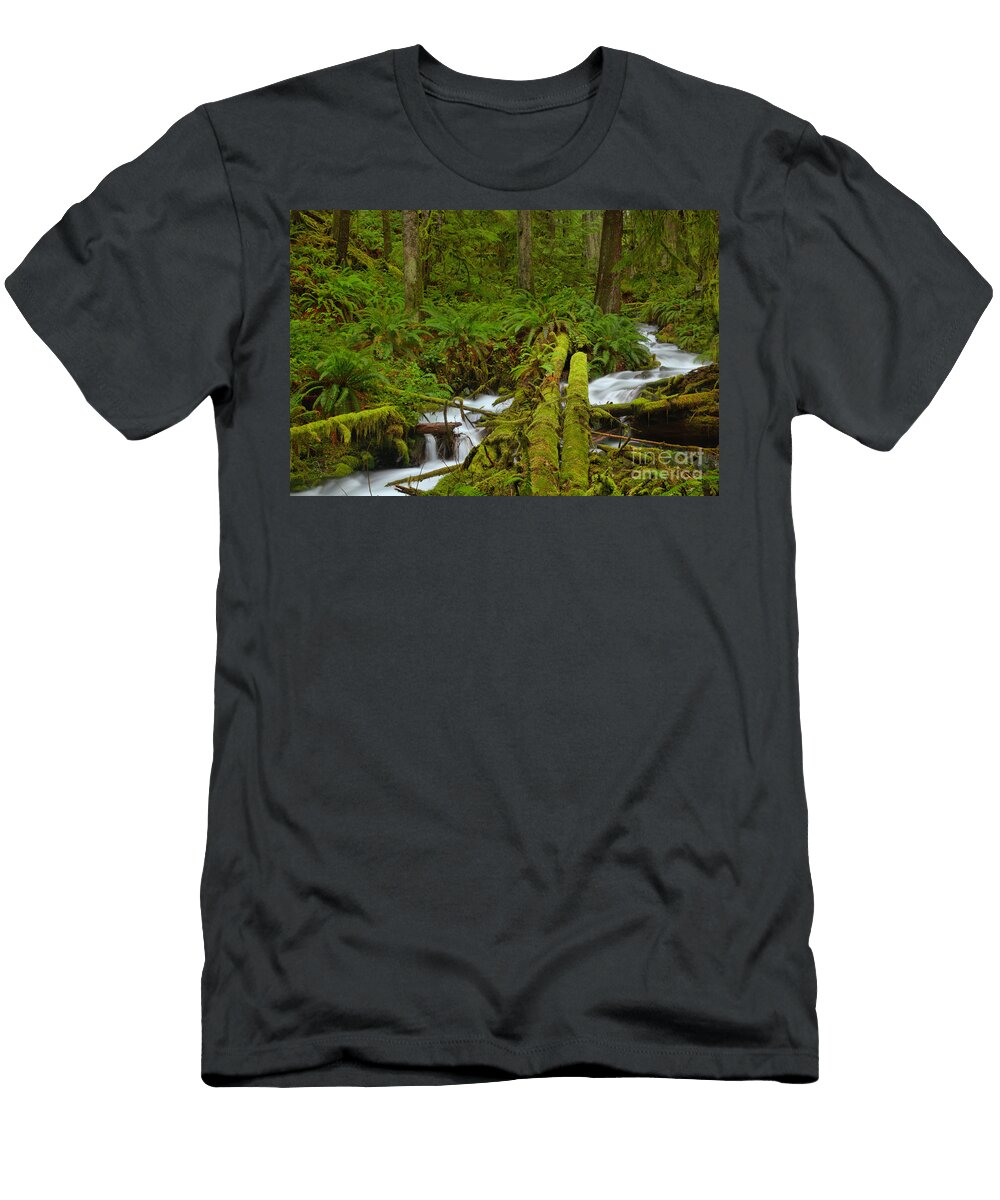 Mossy Log Rainforest Bridge Adam Jewell T-Shirt