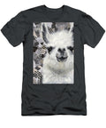 Mr Llama Ashley Lane T-Shirt