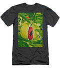 Mr Nutmeg D Lyonz T-Shirt