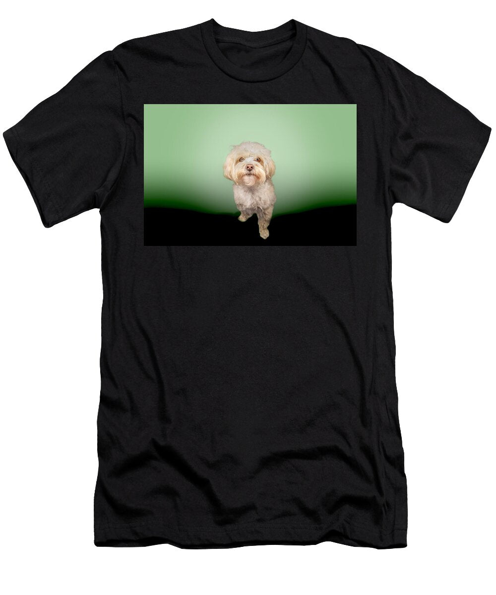 Mr Pickles Portrait Paul Sears Resilient Rover T-Shirt