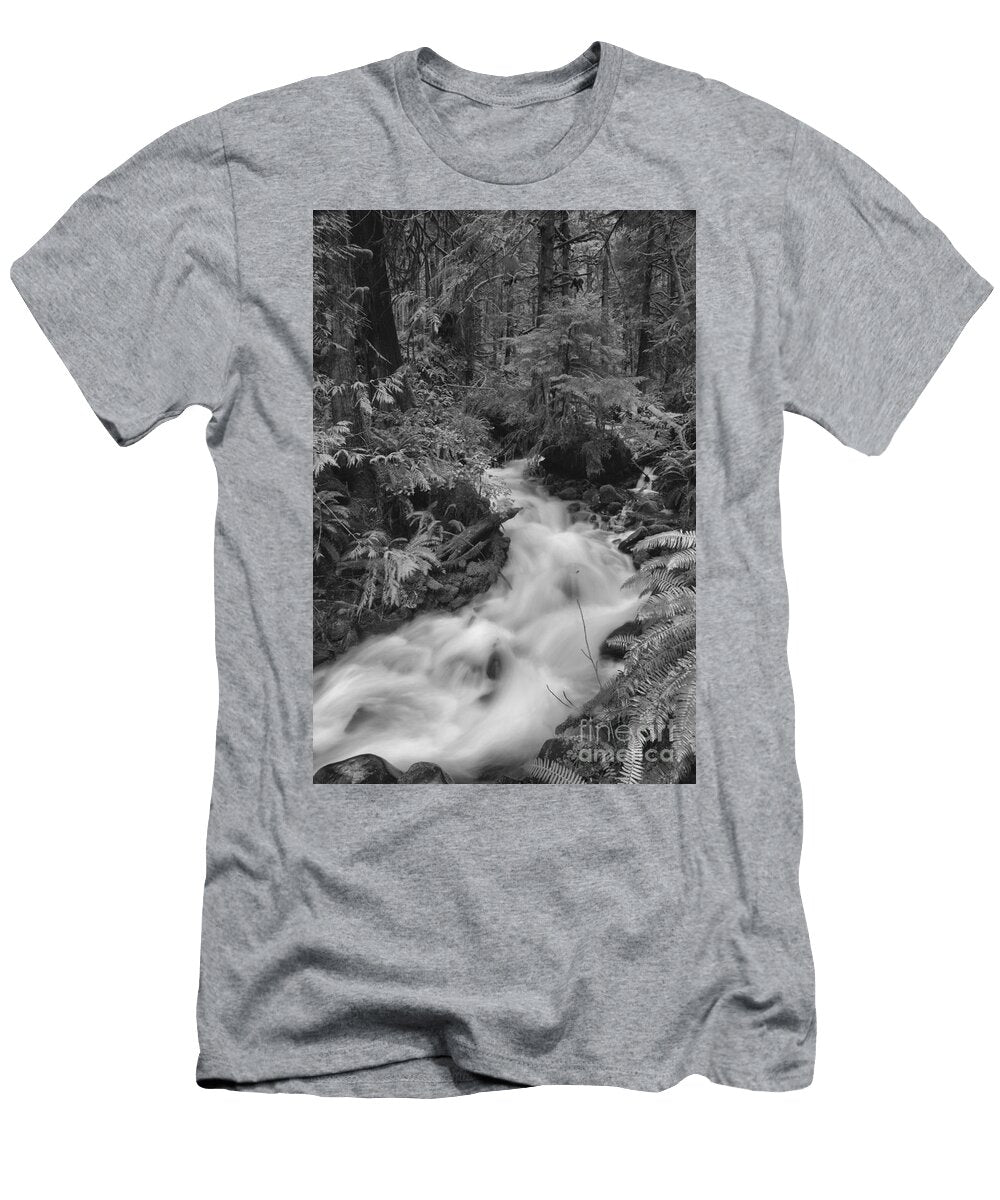 Olympic Rainforest Stream Bend Black and White Adam Jewell T-Shirt