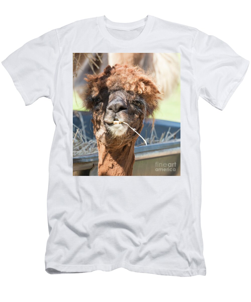 On the Farm Steven Natanson T-Shirt