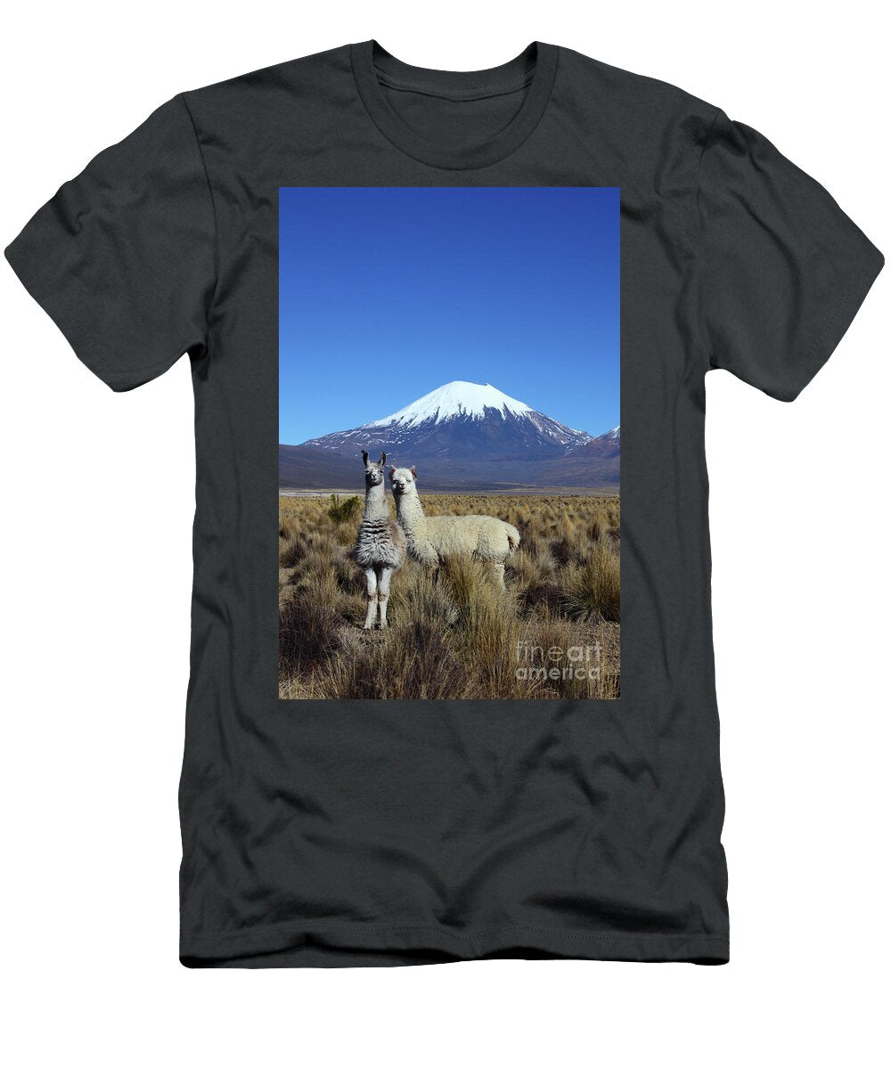 Ooooh Look Tourists Time to Smile James Brunker T-Shirt