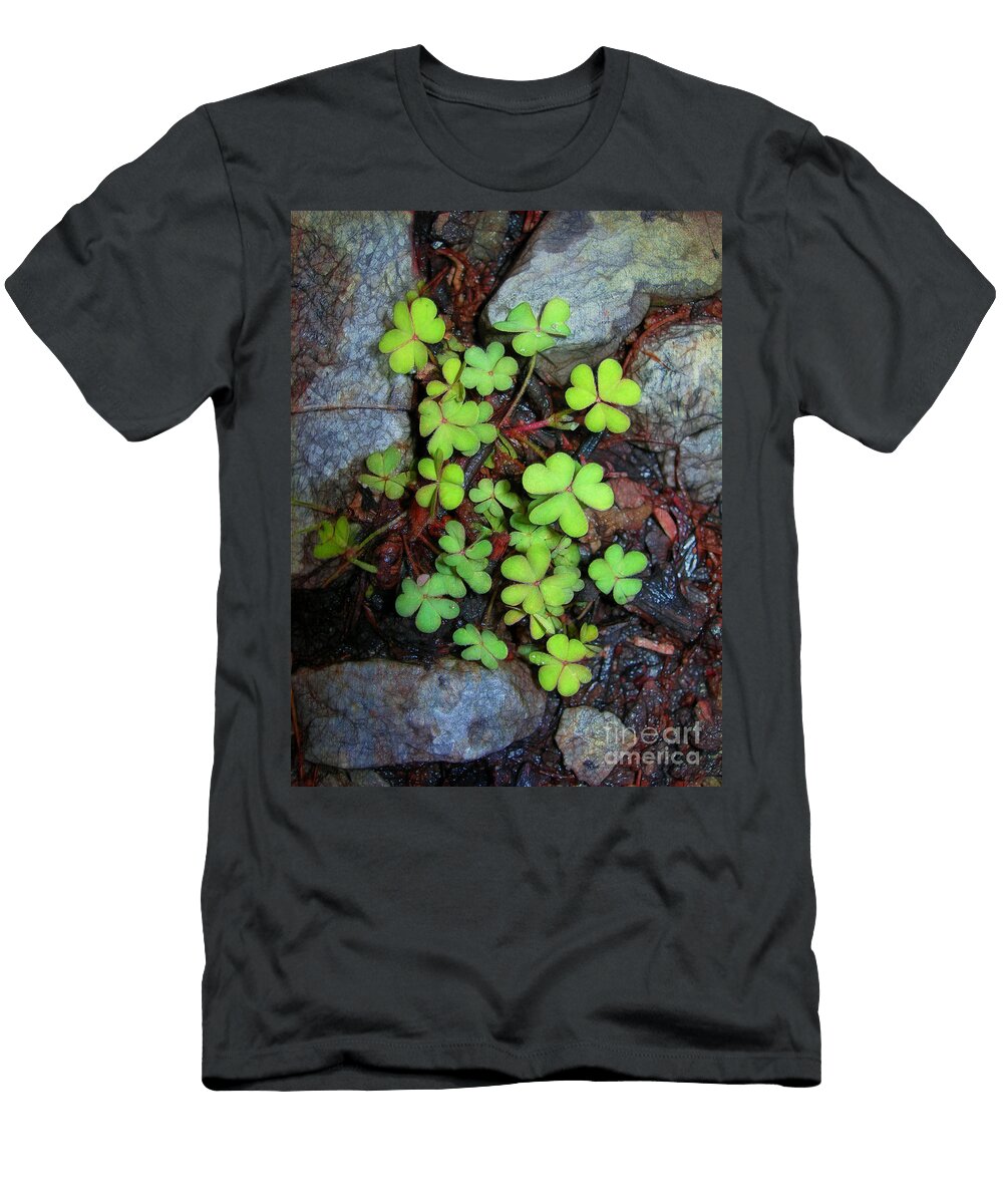 Oxalis Judi Bagwell T-Shirt