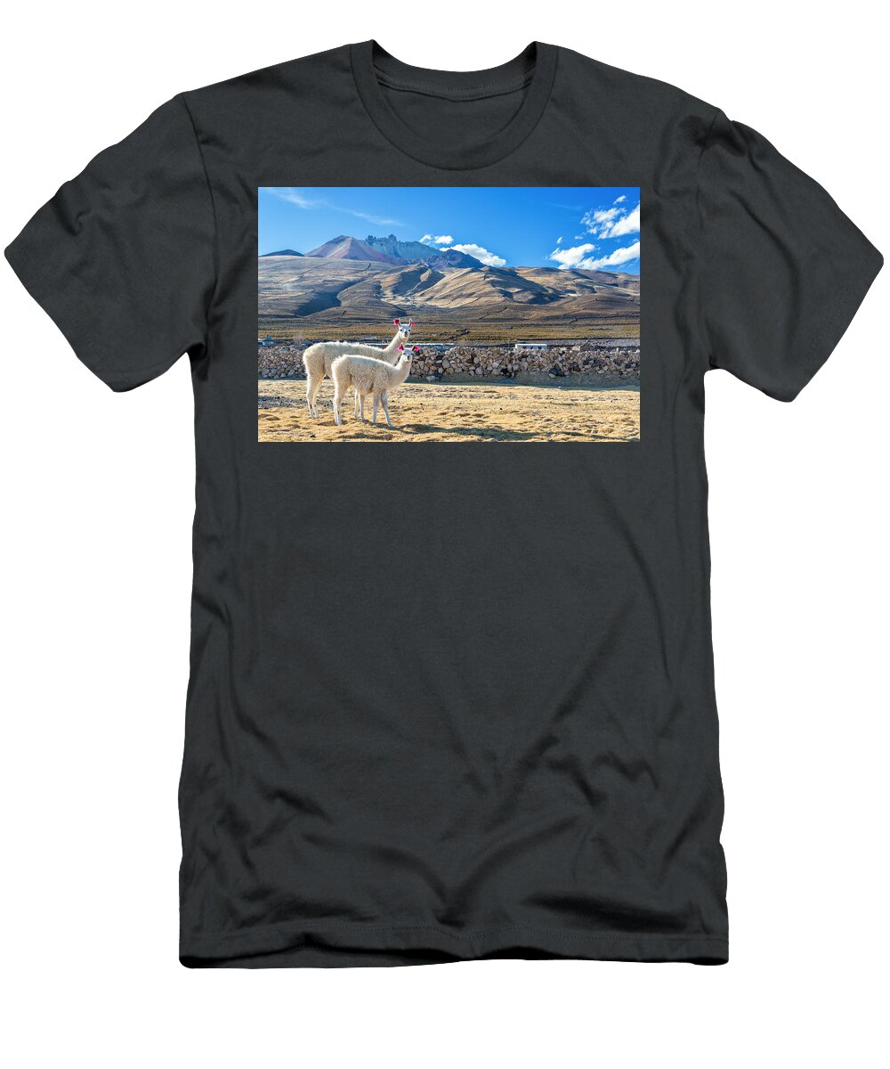 Pair of Llamas Jess Kraft T-Shirt