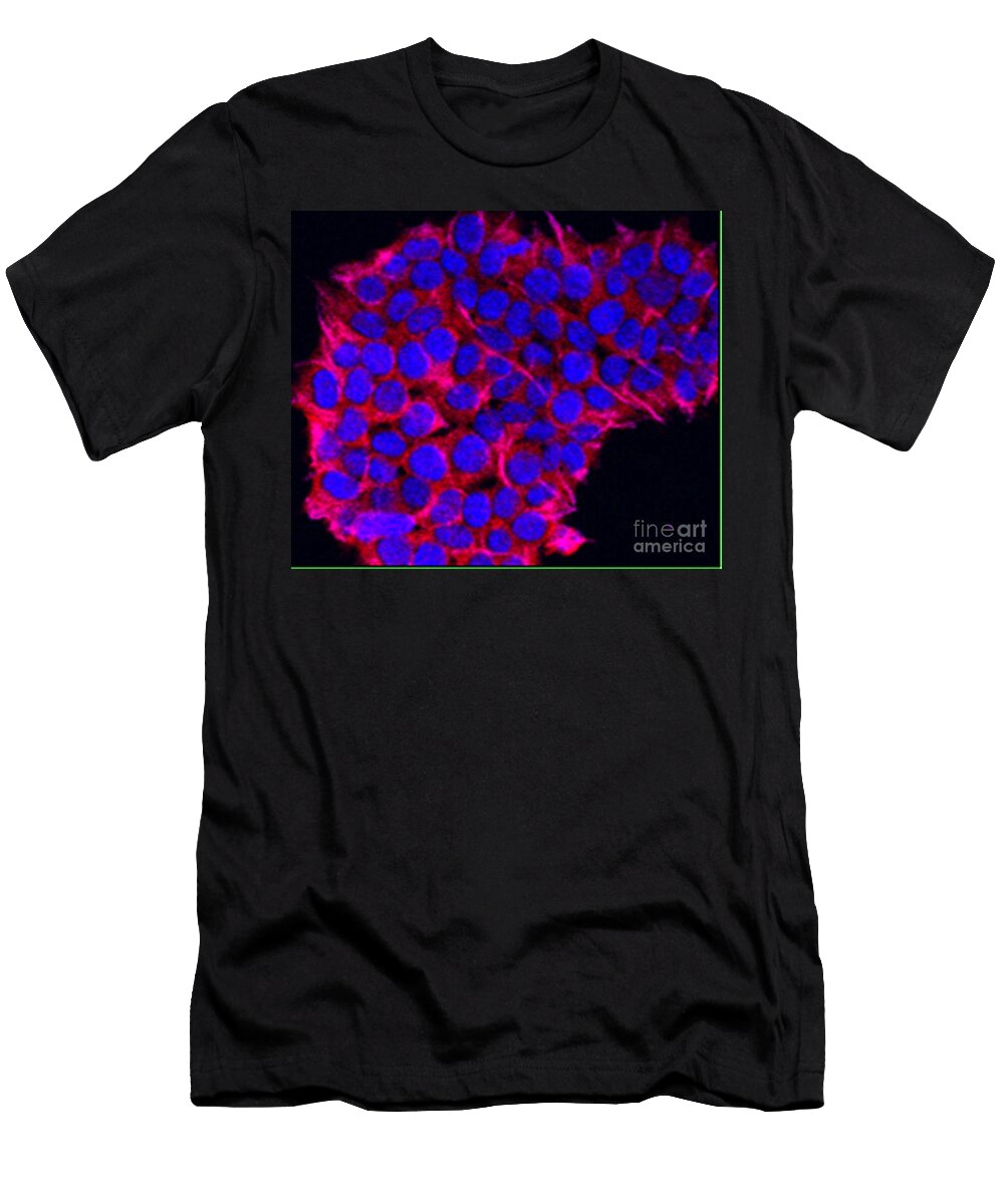 Pancreatic Cancer Confocal Microscopy Science Source T-Shirt