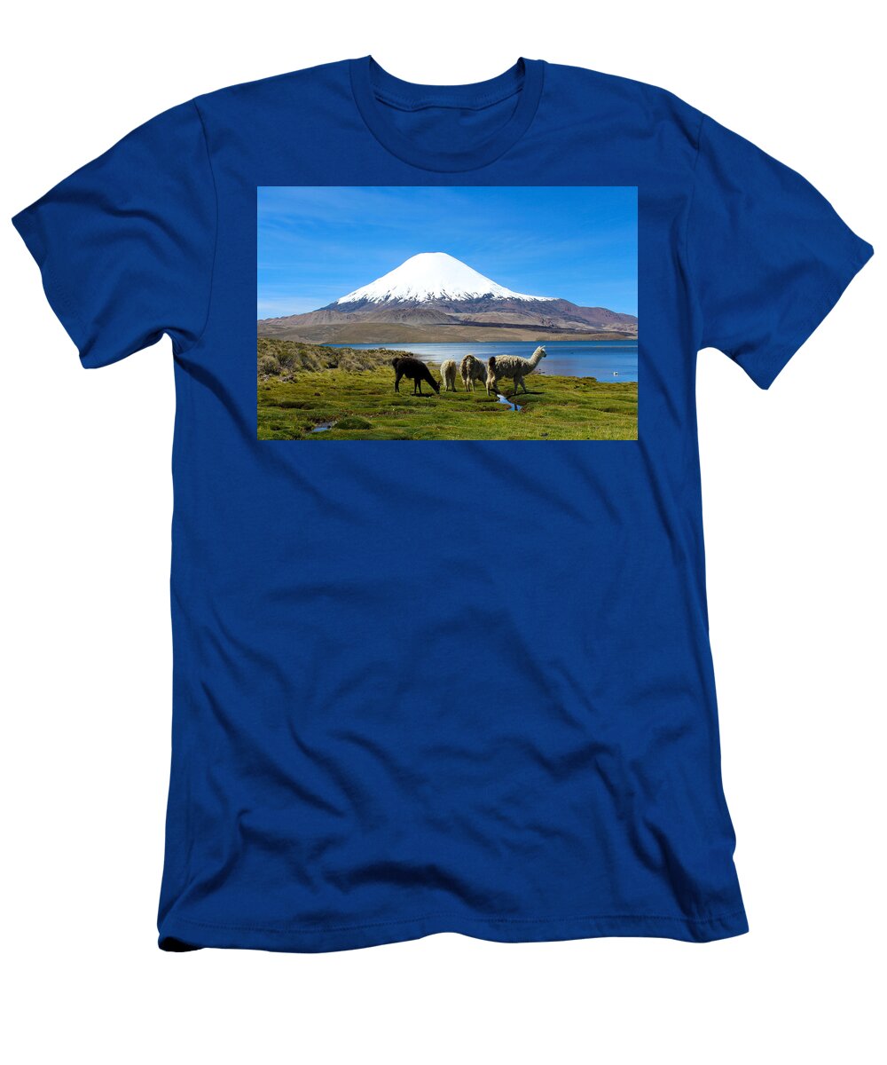 Parinacota Volcano Lake Chungara Chile Kurt Van Wagner T-Shirt