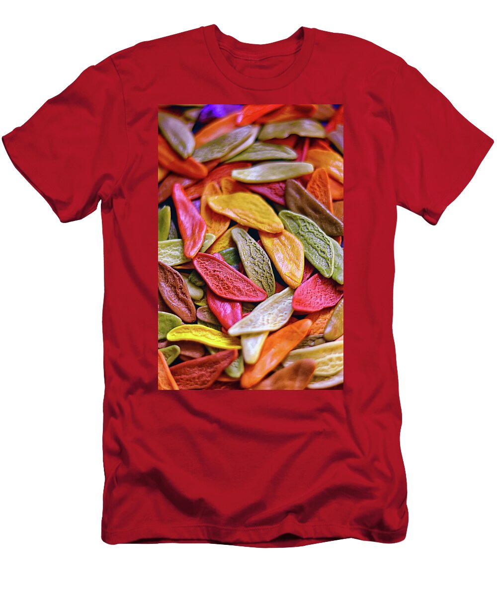 Pasta Shapes Coloured Leaves of Autumn Jeff Townsend T-Shirt