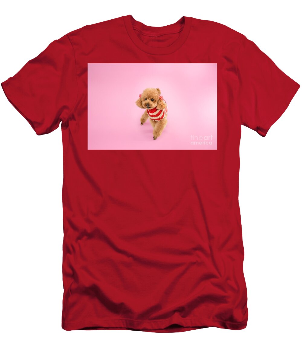 Peppa Stripes Paul Sears Resilient Rover T-Shirt
