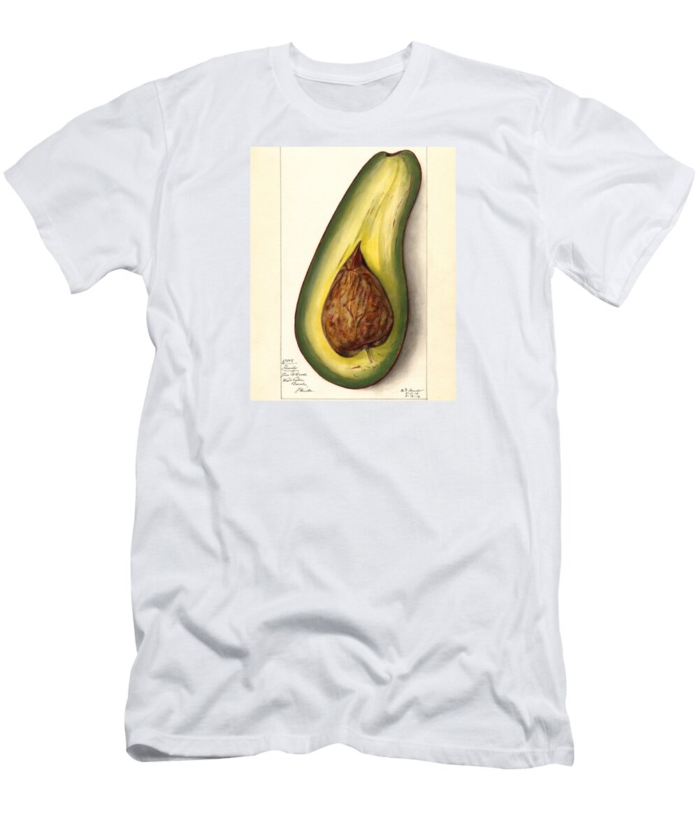 Persea Family Avocado Botanical Study Tina Lavoie T-Shirt