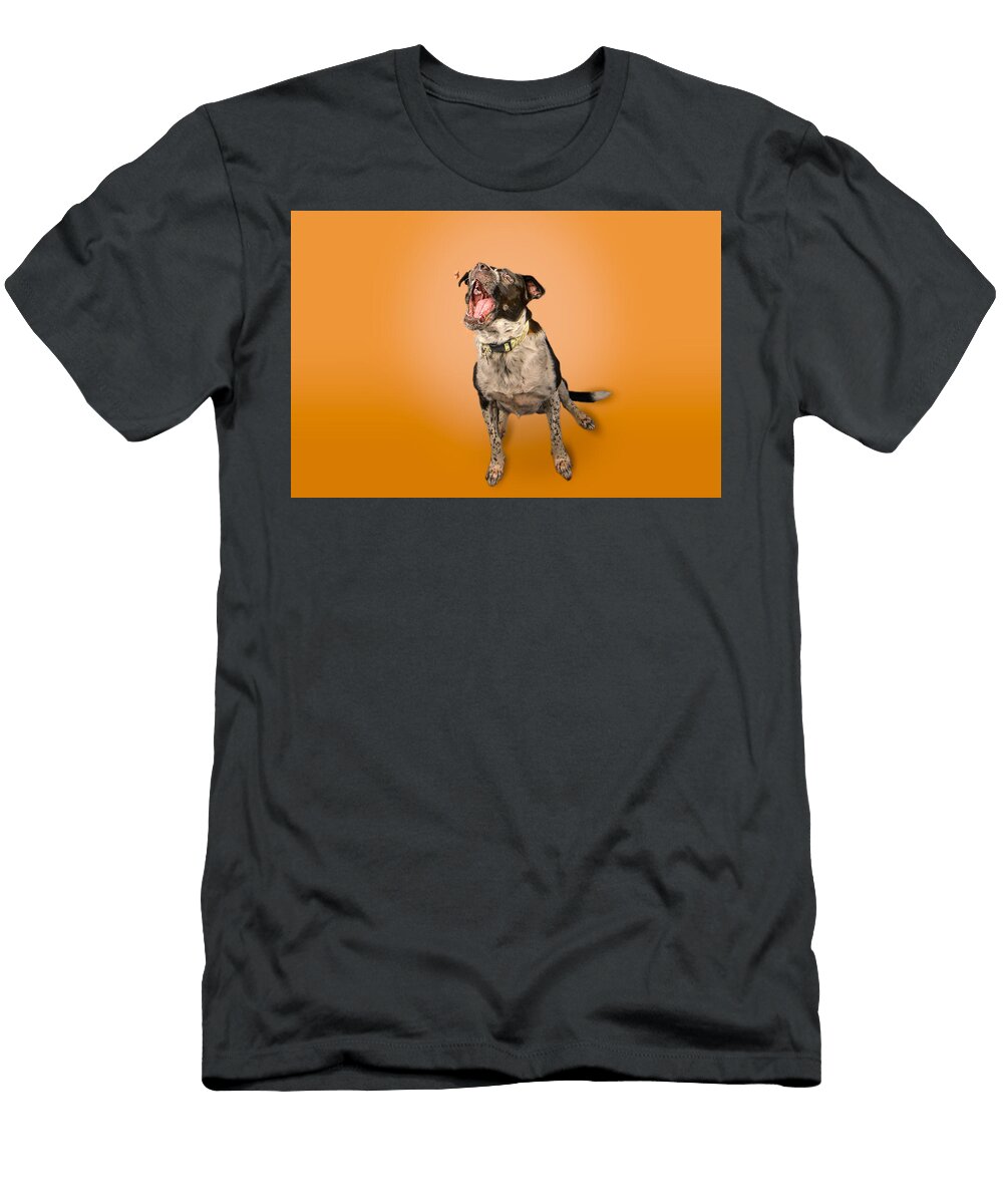 Pickle Catch Paul Sears Resilient Rover T-Shirt