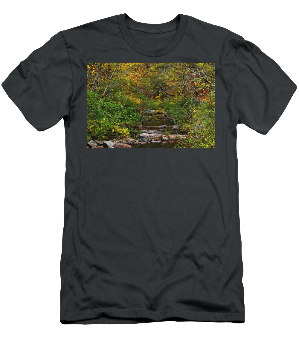 Pickle Creek Autumn I Greg Matchick T-Shirt
