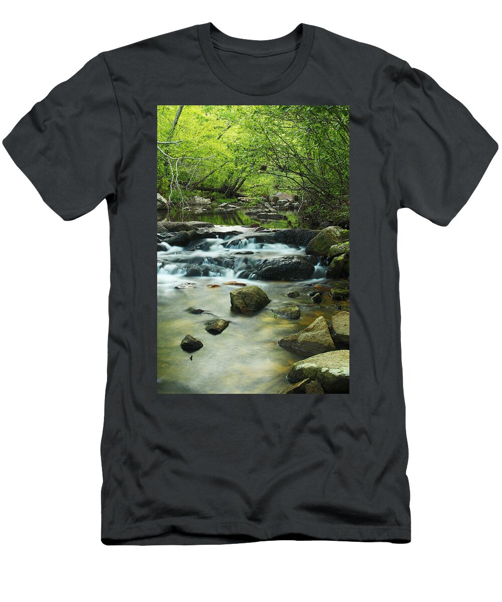 Pickle Creek Ii At Hawn State Park Greg Matchick T-Shirt