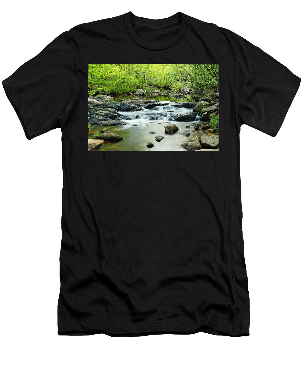 Pickle Creek in Hawn State Park Greg Matchick T-Shirt