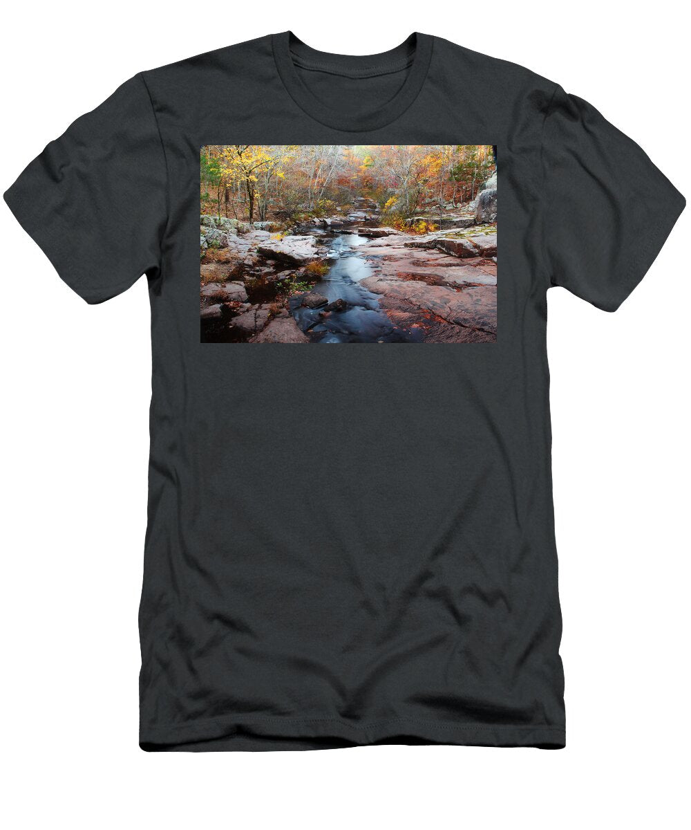 Pickle Creek in Late Autumn 1 Greg Matchick T-Shirt