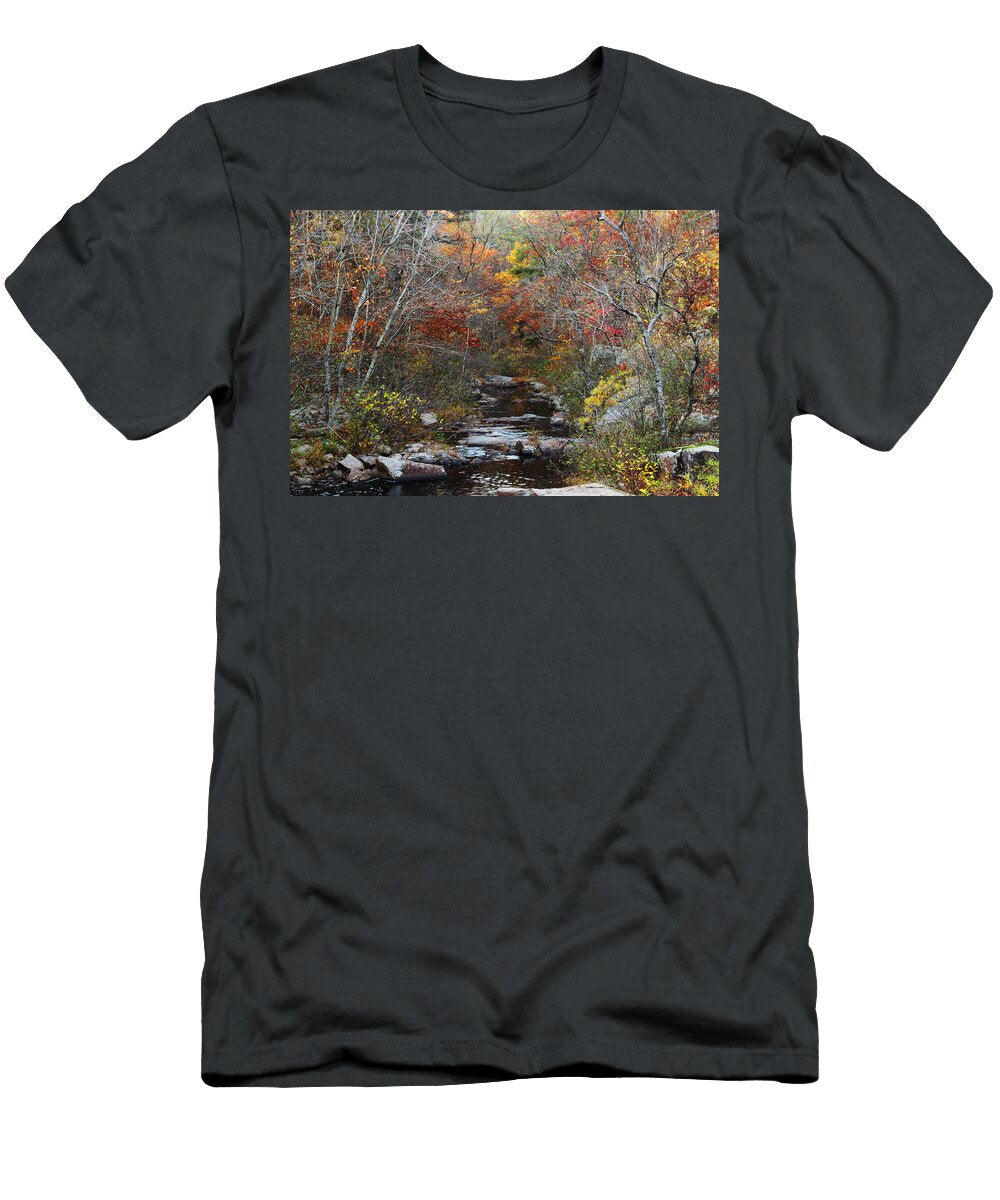 Pickle Creek in Late Autumn 2 Greg Matchick T-Shirt