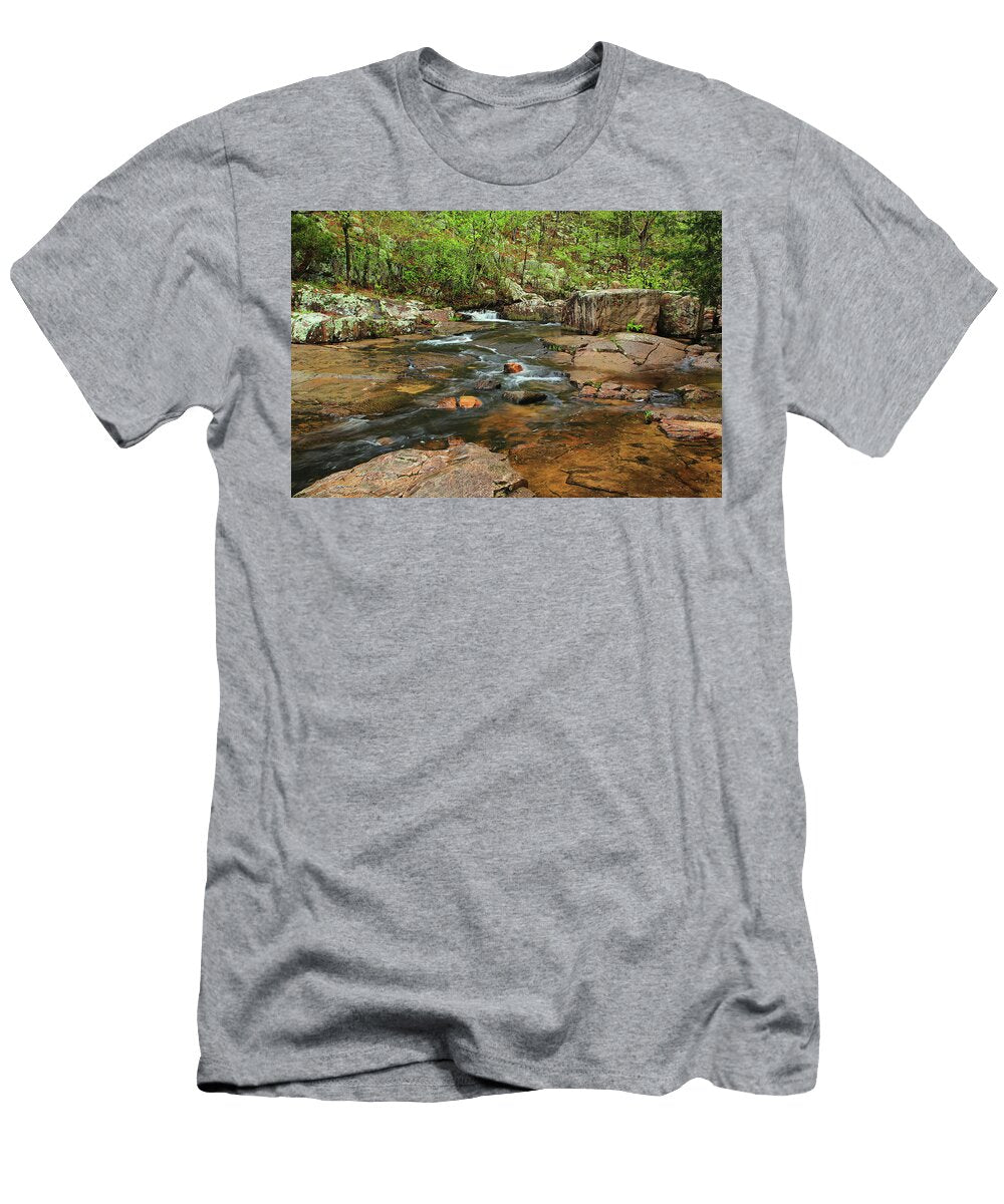 Pickle Creek in Springtime 4 Greg Matchick T-Shirt