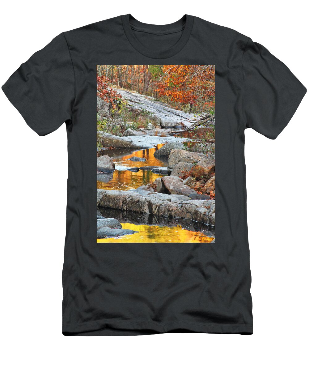 Pickle Creek Reflections in Late Autumn Greg Matchick T-Shirt