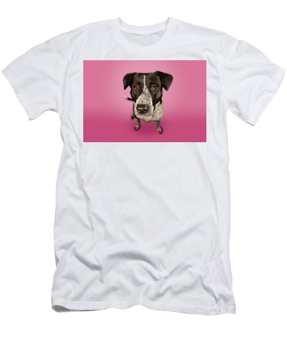 Pickle Demure Paul Sears Resilient Rover T-Shirt