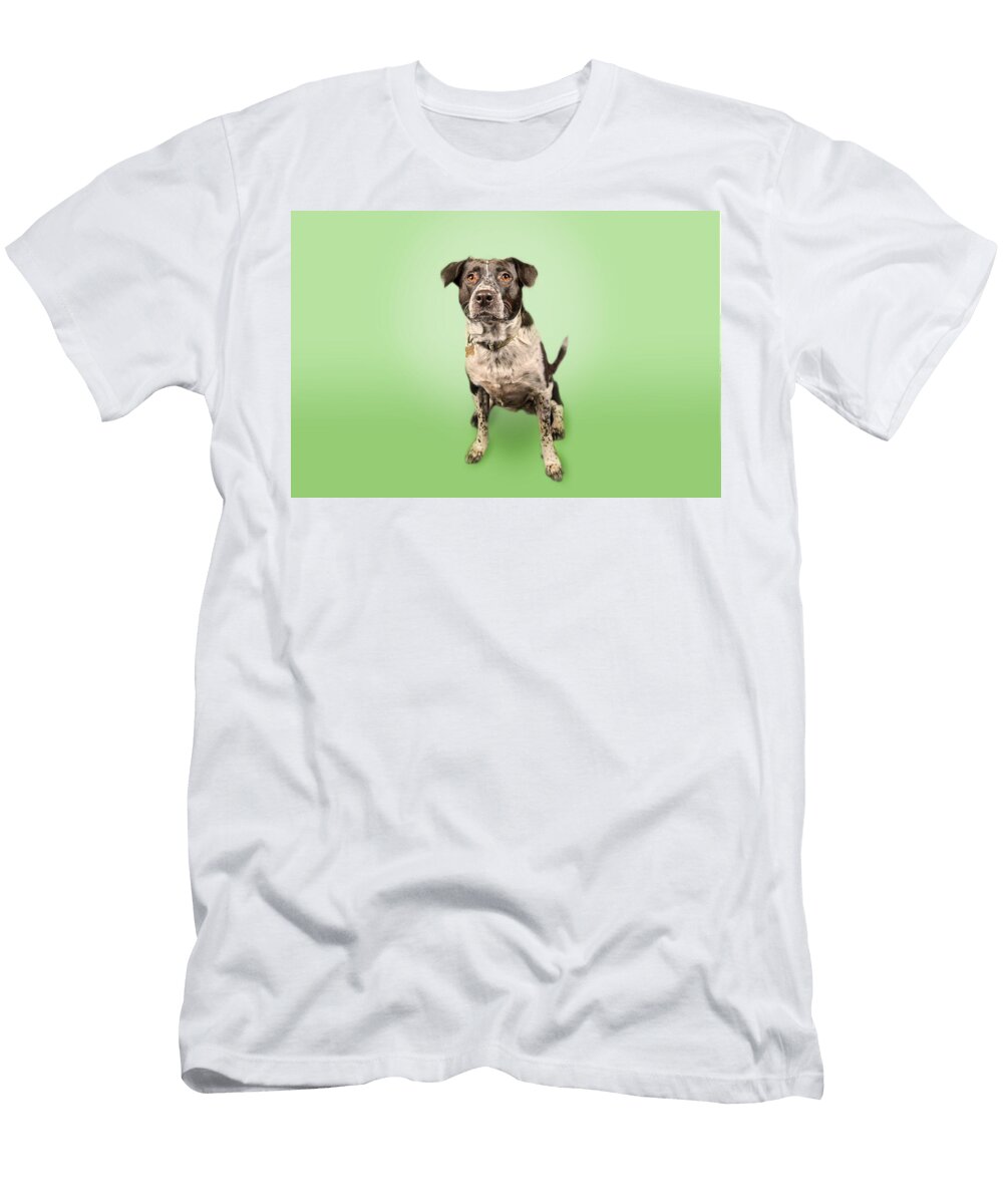 Pickle Portrait Paul Sears Resilient Rover T-Shirt