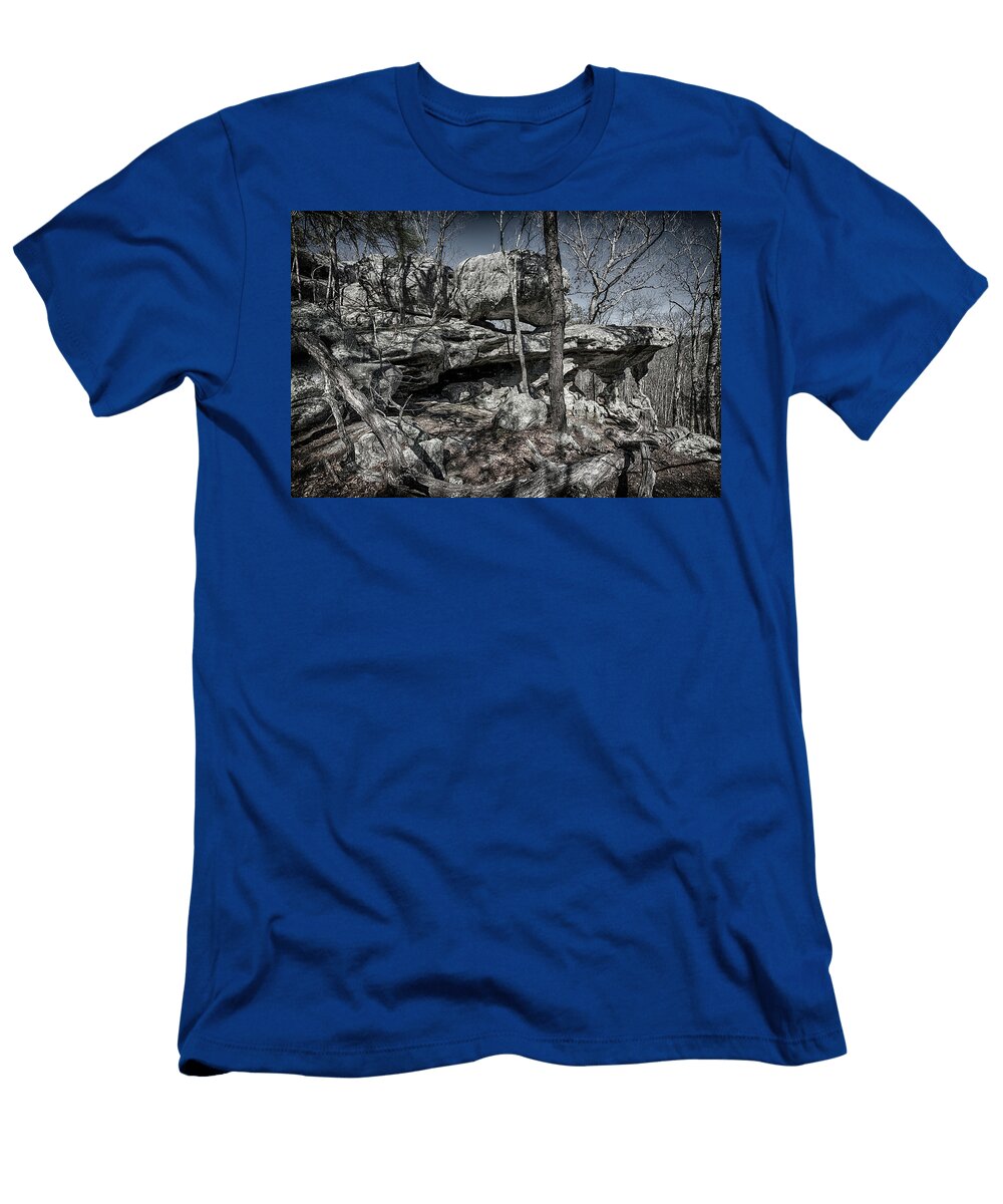 Pickle Spring Double Arch 7r2dsc555502262018 Lunar Light Greg Kluempers T-Shirt