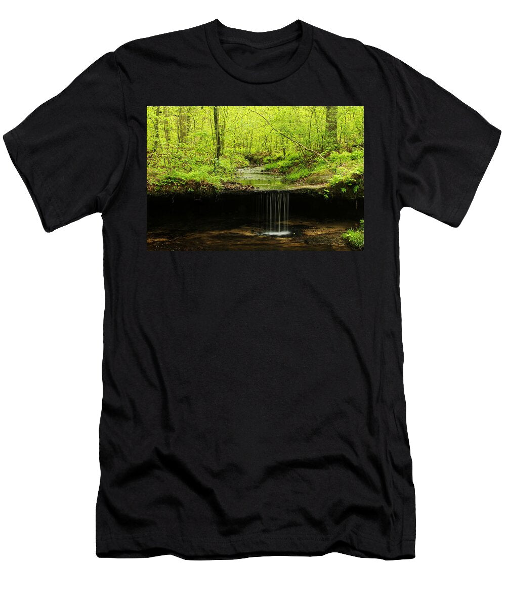 Pickle Spring in Missouri Greg Matchick T-Shirt