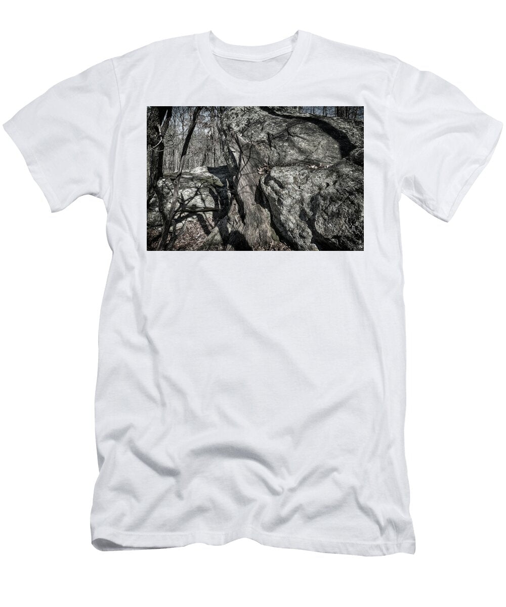 Pickle Springs 7r2dsc558002262018 Lunar Light Greg Kluempers T-Shirt