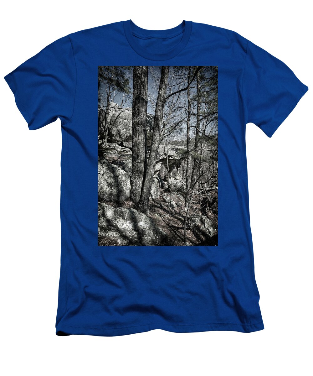 Pickle Springs Double Arch 7r2dsc554602262018 Lunar Light Greg Kluempers T-Shirt