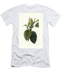 Pickle Tree or Cucumber Tree European School T-Shirt