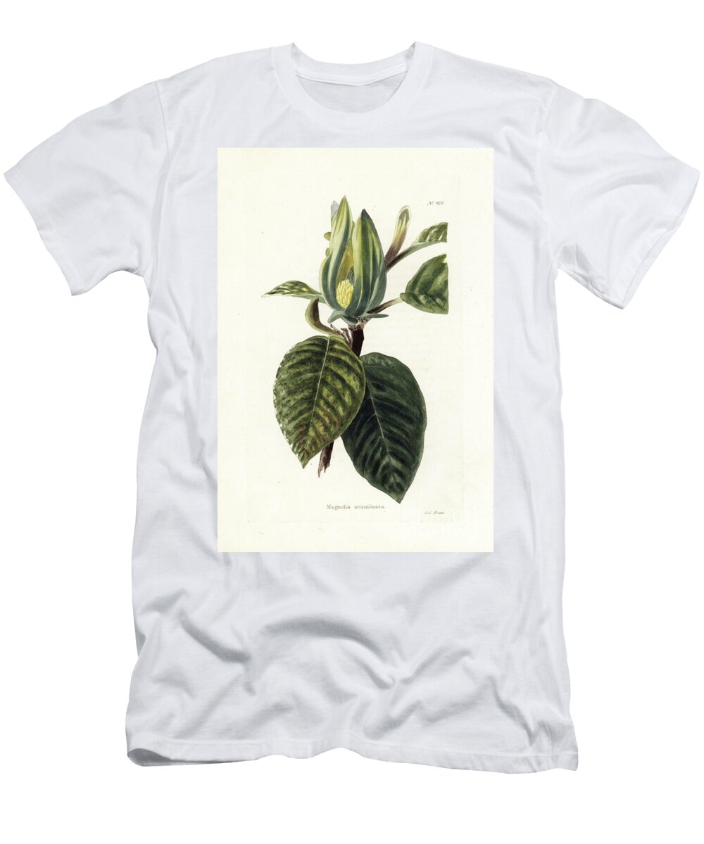Pickle Tree or Cucumber Tree European School T-Shirt