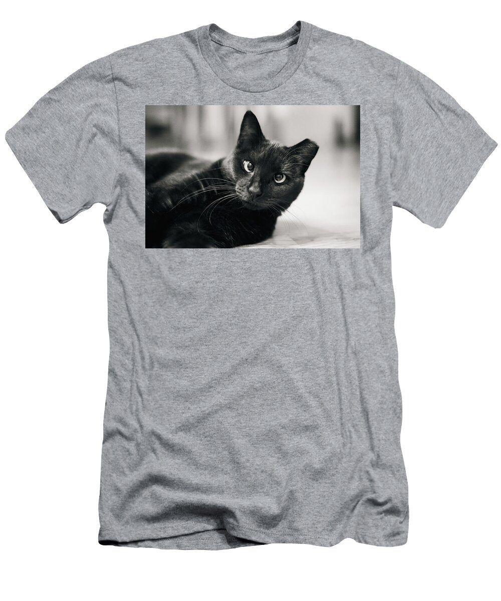 Pickles Cat Laying Sideways Joshua Leeman T-Shirt