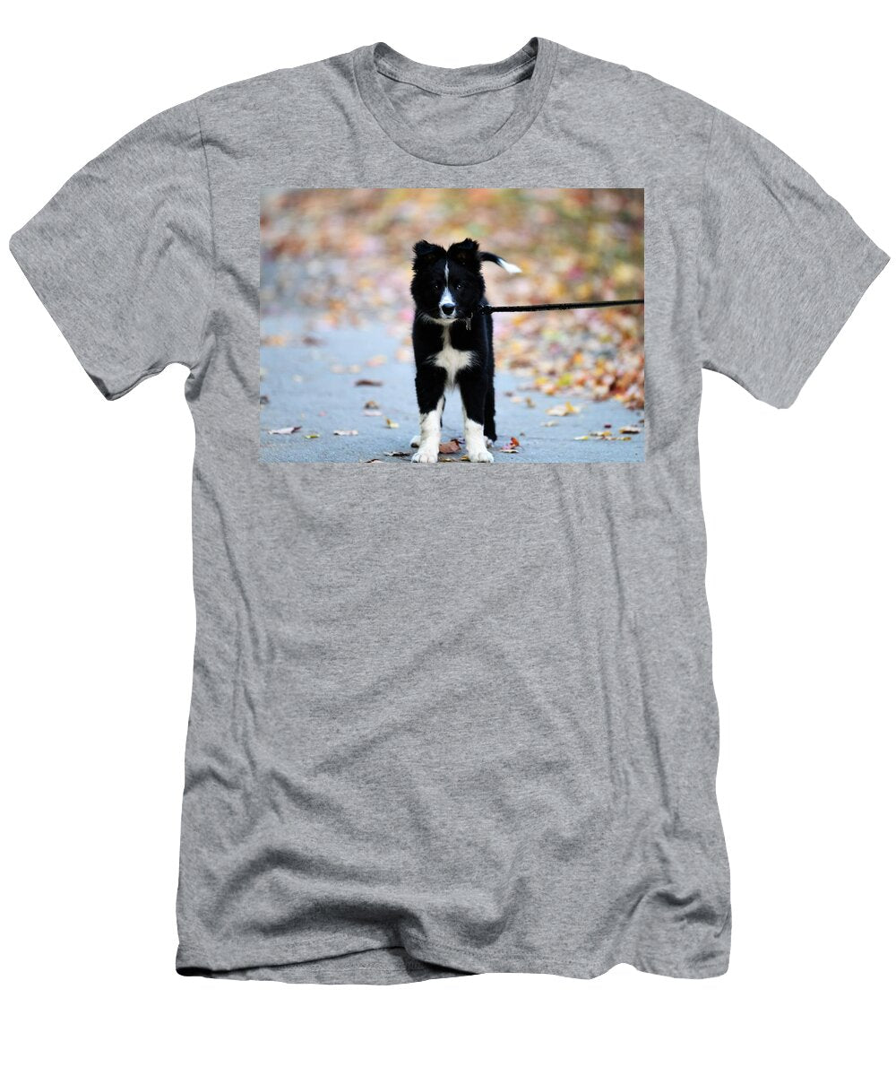 Pickles Jo Ann Matthews T-Shirt