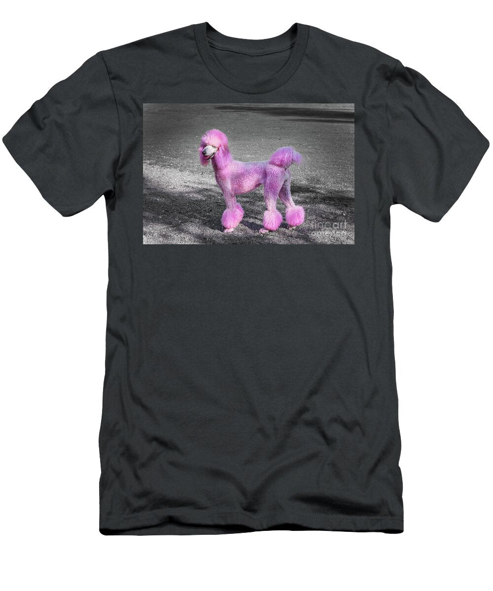 Pink Poodle in Miami Beach Florida Delphimages Photo Creations T-Shirt