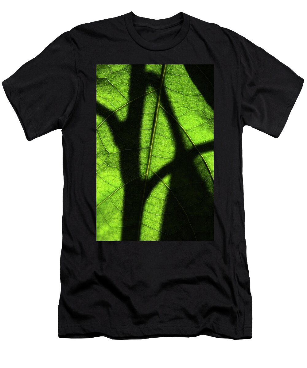 Play of Light and Shadow Green Leaf Macro 10 Jenny Rainbow T-Shirt