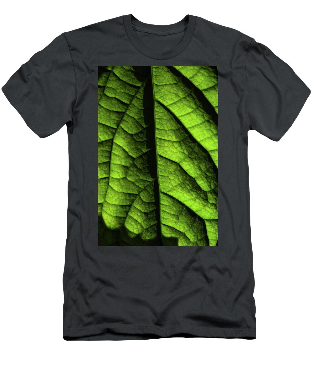 Play of Light and Shadow Green Leaf Macro 11 Jenny Rainbow T-Shirt